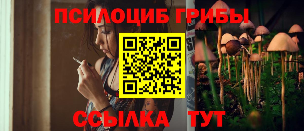 Киржач  Псилоцибиновые грибы ЛСД  Псилоцибиновые грибы прущие грибы  Вход с VPN 